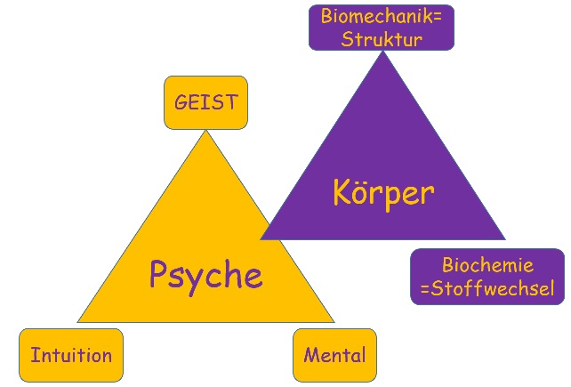 "Körper & Psyche" Kinesiologie & Coaching Andrea Menschick Renningen