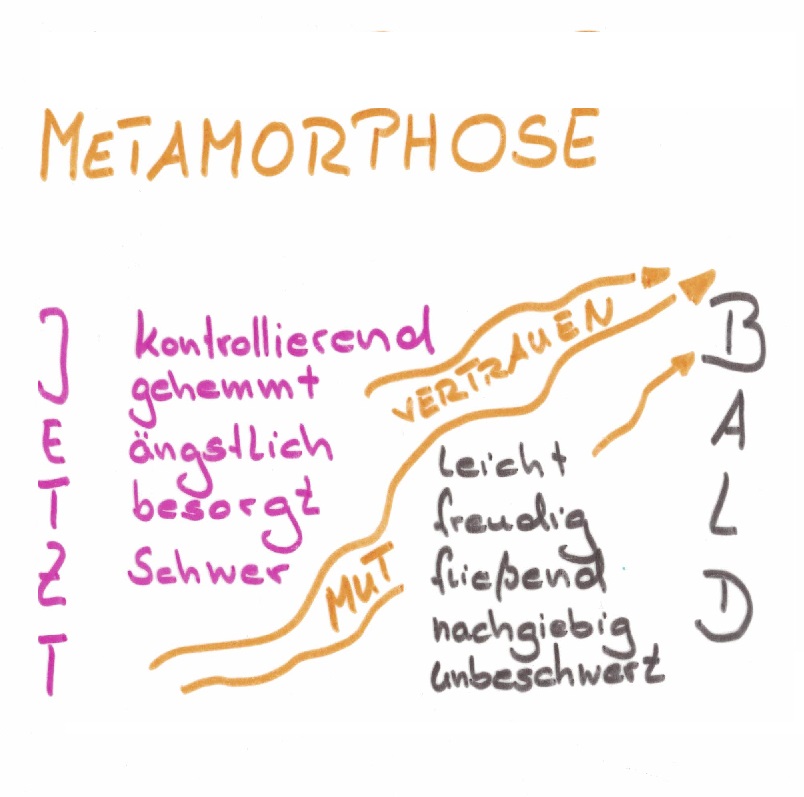 "Metamorphose" Kinesiologie & Coaching Andrea Menschick Renningen